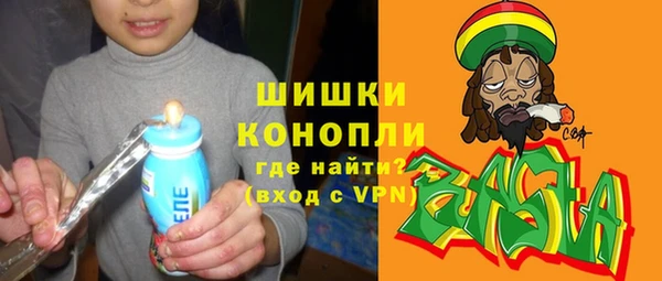 шишки Алзамай