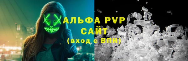стаф Алексин