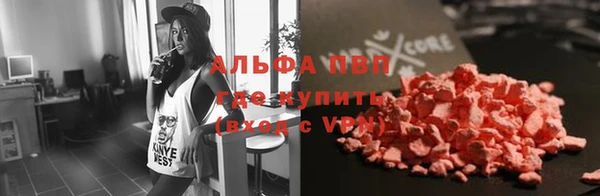 стаф Алексин