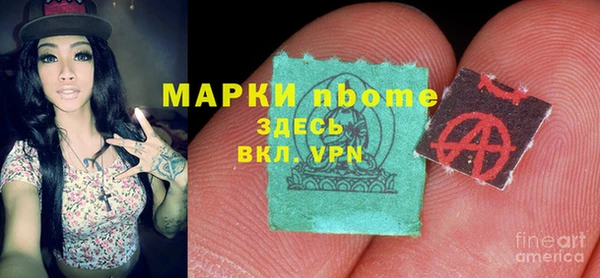 стаф Алексин