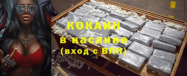 шишки Алзамай