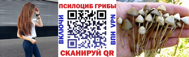 Псилоцибиновые грибы MAGIC MUSHROOMS  где продают   Уфа 